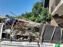 Best Carpet Removal and Disposal  in Frisco, TX
