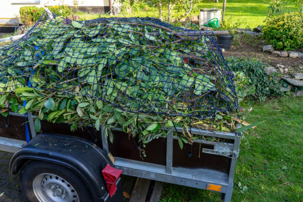 Best Recycling Services for Junk  in Frisco, TX